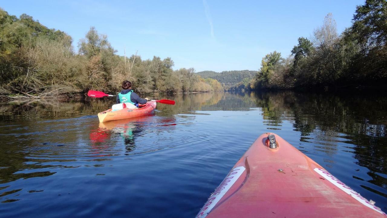 Chambre Du Sabotier - Studio Troglodytique - A 100 M Baignade En Riviere - Location De Canoe - Circuits Cyclo - Aire De Pique-Nique - 3 Restaurants カステルノー・ラ・シャペル エクステリア 写真